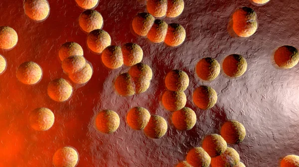 Λιπώδη κύτταρα στον ανθρώπινο ιστό — Φωτογραφία Αρχείου