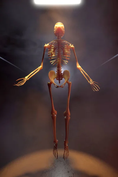 Illustrazione 3D di uno scheletro che sale nella luce — Foto Stock