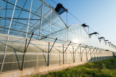 Metal profilden yapılmış bir sera cadı büyüyen sebzeler bitkiler