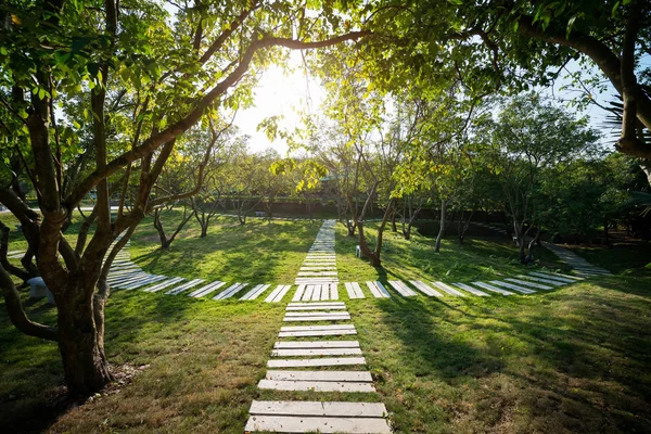 Allée et un tunnel de plantes et le chemin de pierre — Photo