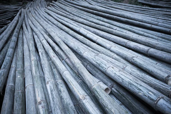 Tło z bambusami w Azji — Zdjęcie stockowe