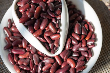 Arka plan bambu bitki Asya