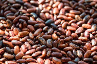 fasulye sağlıklı pişirme doğal gıda madde olarak sağlıklı beslenme yüksek lifli gıda kavram olarak