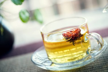 Bracteantha bracteata kokulu çay