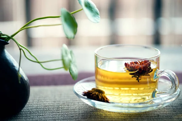 O chá perfumado da Bracteantha bracteata — Fotografia de Stock