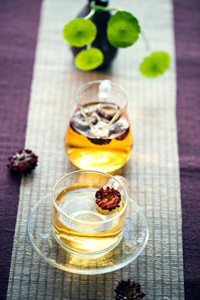 El té perfumado de la Bracteantha bracteata — Foto de Stock
