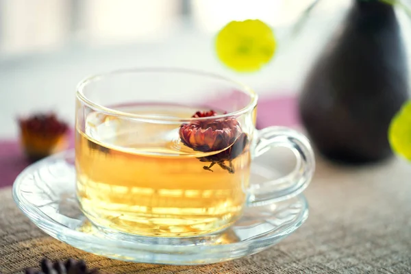 Ароматичні чай Bracteantha bracteata — стокове фото