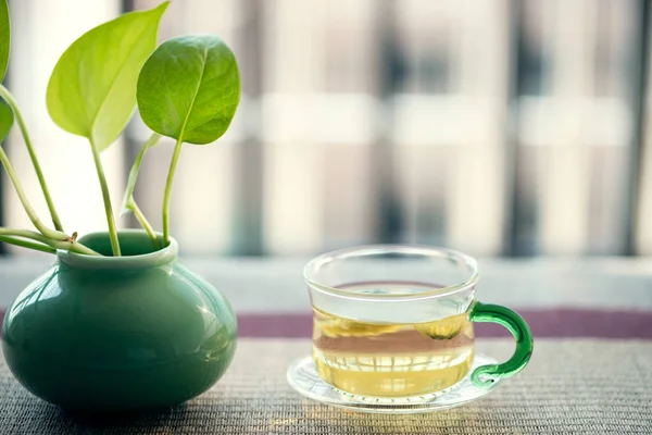 O chá perfumado da Matricariarecutita — Fotografia de Stock