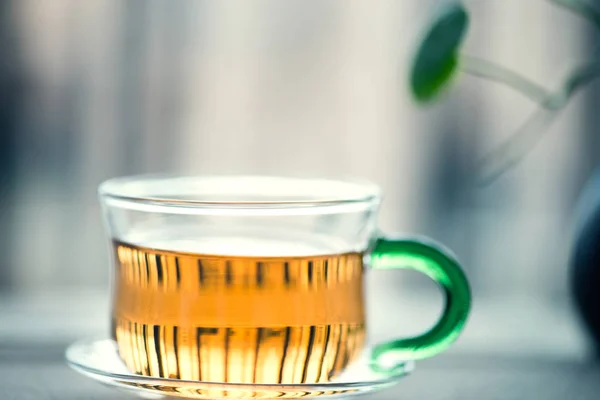O chá perfumado da Matricariarecutita — Fotografia de Stock