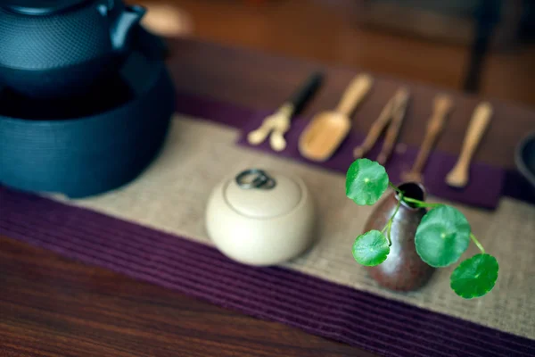 The Chinese tea ceremony indoors — Stock Photo, Image