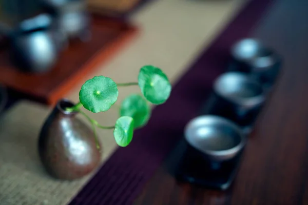 A cerimônia de chá chinês dentro de casa — Fotografia de Stock