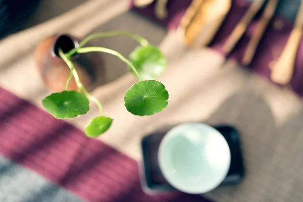 Aziatische thee set op houten tafel — Stockfoto