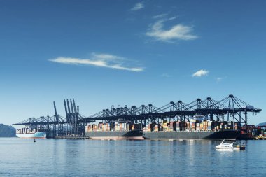 konteyner terminali Çin