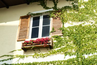 pencere (Avusturya)