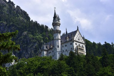 Almanya 'daki Neuschwanstein kalesi