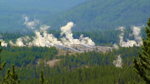 Ventilações vulcânicas no Parque Nacional de Yellowstone — Vídeo de Stock