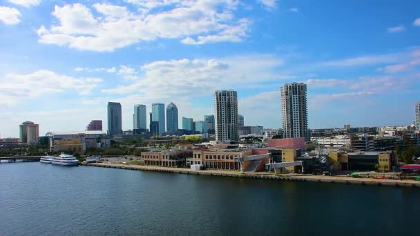 Tampa skyline on a sunny day — Stock Video