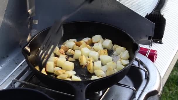 Potatoes in a Frying Pan — Stock Video