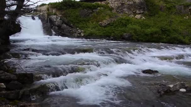 Swiftcurrent falls in Glacier National Park. — Stockvideo