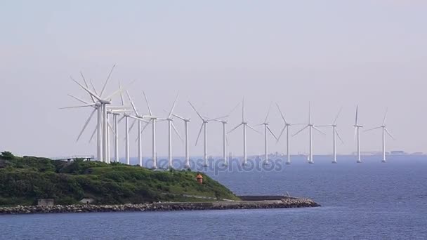 在丹麦的风车 — 图库视频影像