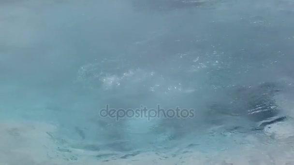 Bubbling Hot Spring — Stock Video