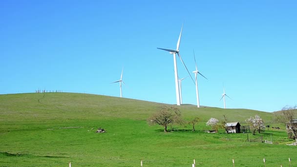 春天在加利福尼亚中部的一个农场上的风车 摄像头锁定 — 图库视频影像