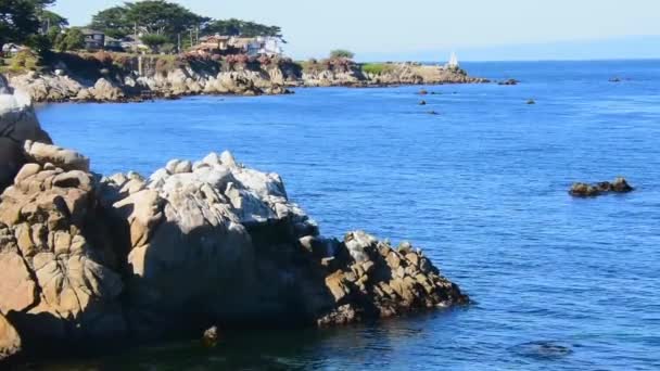 Lugna Vatten Monterey Bay Nära Pacific Grove Stenar Förgrunden Pacific — Stockvideo