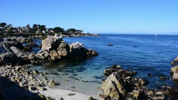 Aguas Tranquilas Bahía Monterey Mientras Agua Corre Por Las Rocas — Vídeos de Stock