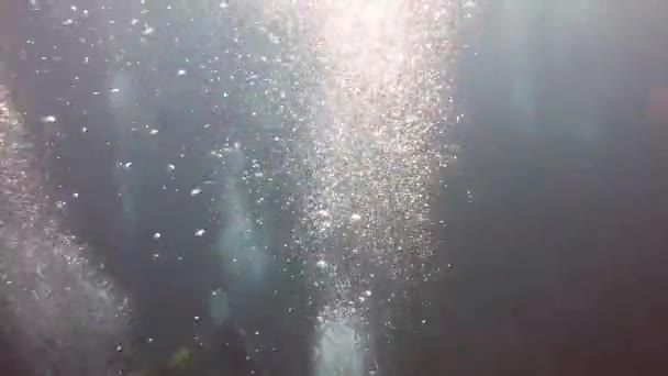 Grupo Buceadores Bajo Agua Sus Burbujas Aire — Vídeos de Stock