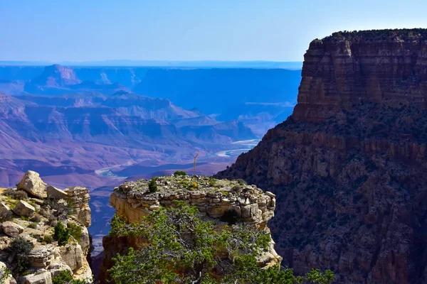 South rim van de grand canyon — Stockfoto