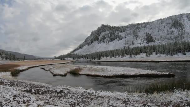 Río Madison Cerca West Yellowstone Ligero Polvo Nieve Cámara Mano — Vídeos de Stock