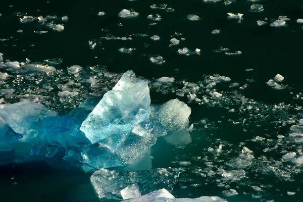 Belos Icebergs Azuis Flutuando Tracy Arm Fjord — Fotografia de Stock