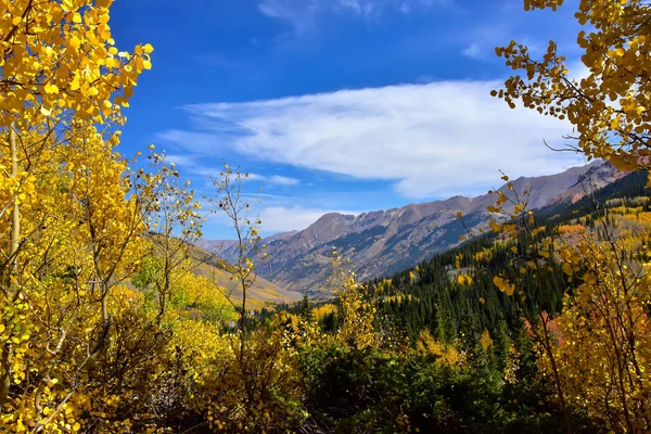 Bladeren Draaien San Juan Skyway Colorado — Stockfoto