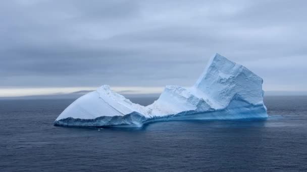 南極のキングジョージ島のアドミラルティ湾に大きな氷山が浮かぶ — ストック動画
