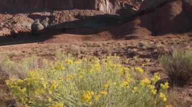 Capital Resifi Ulusal Parkı 'ndaki Red Rocks, Utah. Kamera kaidesi hareketi yukarı.