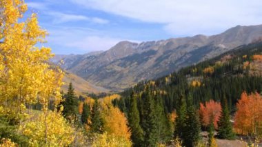 Rocky Dağları 'nda sonbahar renkleri. Kamera kilitlendi.