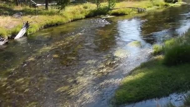 Firehole River Bij Yellowstone National Park — Stockvideo