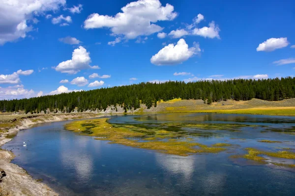 Sárgakő Folyó Hayden Völgyben Yellowstone Nemzeti Park — Stock Fotó