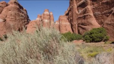 Utah 'taki Arches Ulusal Parkı' nda Kızıl Kayalar, ön planda çalı çırpı.