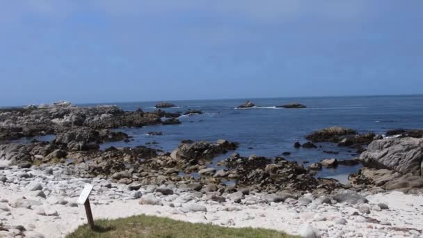 Ακτή Μοντερέι Κοιτώντας Πάνω Από Βράχους Κατά Μήκος Της Ακτογραμμής — Αρχείο Βίντεο