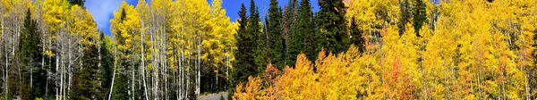 Διαφημιστικό Banner Φθινοπωρινών Χρωμάτων Στο Κολοράντο — Φωτογραφία Αρχείου