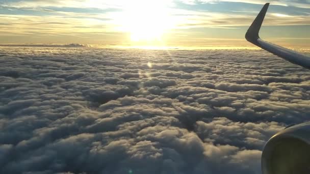日の出直後の朝に民間航空会社で雲の上を旅する — ストック動画