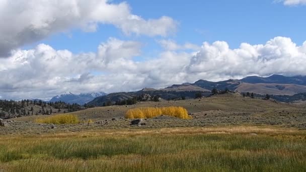 Egy Jelenet Lamar Völgyből Yellowstone Nemzeti Parkban Wyomingban Fényképezőgép Jobbra — Stock videók
