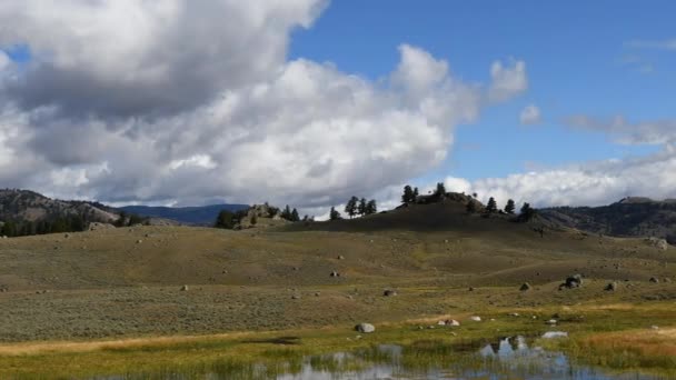 黄石公园的拉马尔山谷的时间流逝了 场景从前景的一个池塘开始 从右到左 以干旱的山丘结束 积雨云从左到右移动 照相机从右到左倾斜 — 图库视频影像