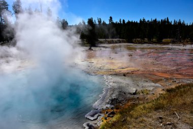 Güzel mavi Celestine Havuzu Çeşme Boya Kabı 'nın yanında, Yellowstone Ulusal Parkı..