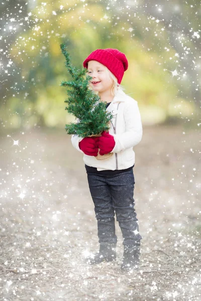 Menina em mitenes segurando pequena árvore de Natal com neve Effe — Fotografia de Stock