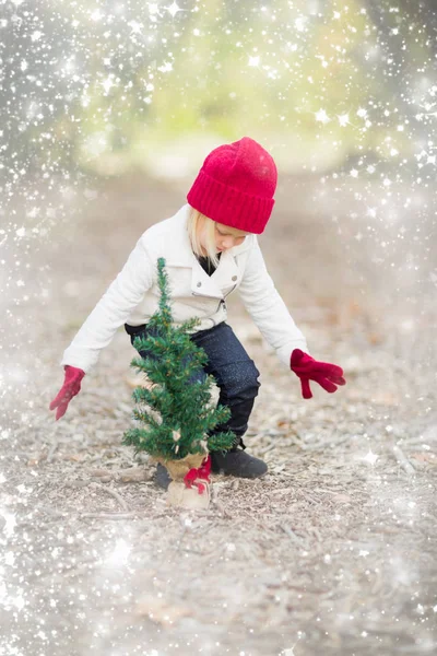 Chica en manoplas rojas y gorra cerca de pequeño árbol de Navidad con nieve —  Fotos de Stock