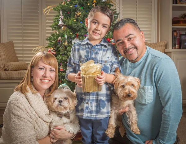 Jovem família de raça mista na frente da árvore de Natal — Fotografia de Stock