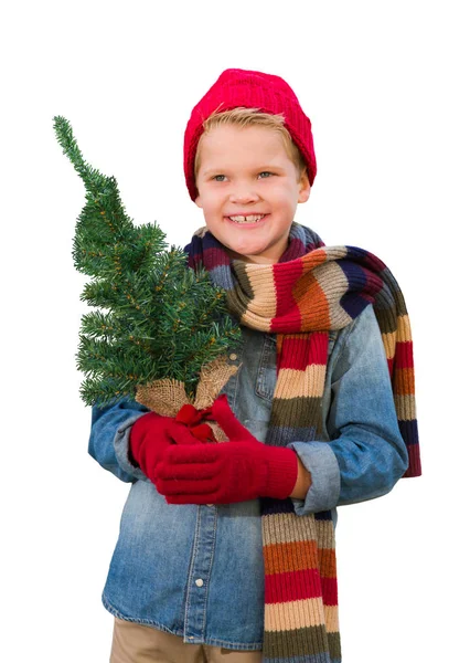 Boy Wearing Mittens and Scarf Holding Christmas Tree On White — Stock Photo, Image