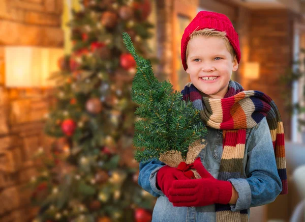 Chłopiec ubrany w szalik w Boże Narodzenie urządzony pokój gospodarstwa małe drzewo — Zdjęcie stockowe